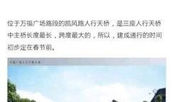 广西桂林新闻爆料,揭秘桂林最新热点事件背后的真相