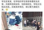昆明高校爆料案件最新,揭秘校园内幕，真相背后引关注