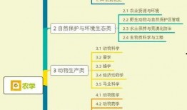 玉林爆料家长视频大全集,真实记录家庭教育瞬间