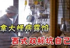 美国卫生部官员最新爆料,疫情真相与应对策略大揭秘