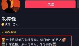 爆料网红卖货视频大全集,爆款视频大全集深度解析